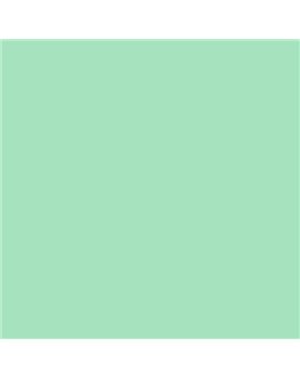 ESMALTE SINTETICO JUNOPLUS BRILLO (OFERTA) COLOR S 0530-G