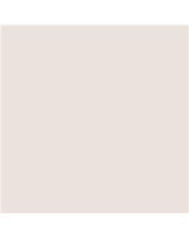 ESMALTE SINTETICO JUNOPLUS BRILLO (OFERTA) COLOR S 0804-Y90R