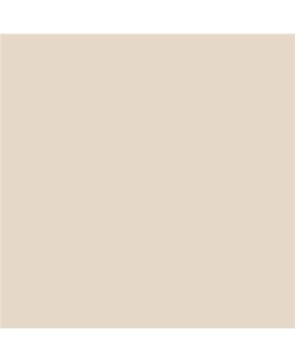 ESMALTE SINTETICO JUNOPLUS BRILLO (OFERTA) COLOR S 1005-Y50R