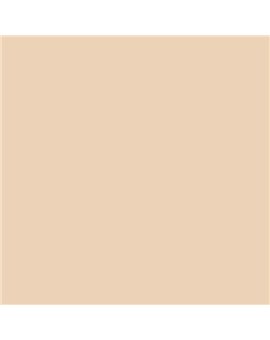 ESMALTE SINTETICO JUNOPLUS BRILLO (OFERTA) COLOR S 1010-Y40R