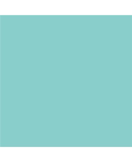 ESMALTE SINTETICO JUNOPLUS BRILLO (OFERTA) COLOR S 1030-B50G