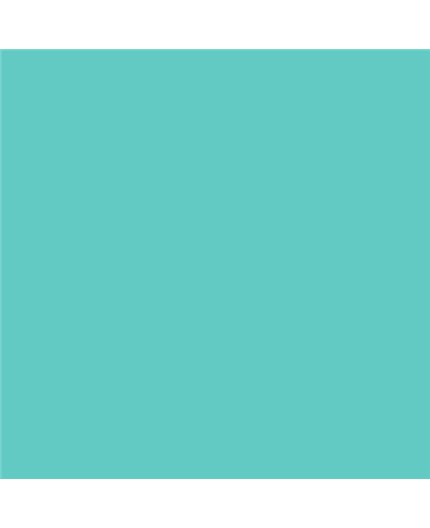 ESMALTE SINTETICO JUNOPLUS BRILLO (OFERTA) COLOR S 1040-B60G