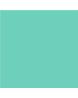 ESMALTE SINTETICO JUNOPLUS BRILLO (OFERTA) COLOR S 1040-B80G