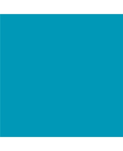 ESMALTE SINTETICO JUNOPLUS BRILLO (OFERTA) COLOR S 2050-B10G