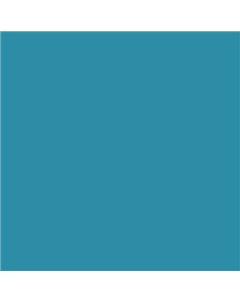 ESMALTE SINTETICO JUNOPLUS BRILLO (OFERTA) COLOR S 3040-B10G