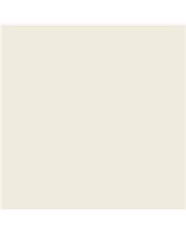 ESMALTE SINTETICO JUNOPLUS BRILLO (OFERTA) COLOR RAL 9001