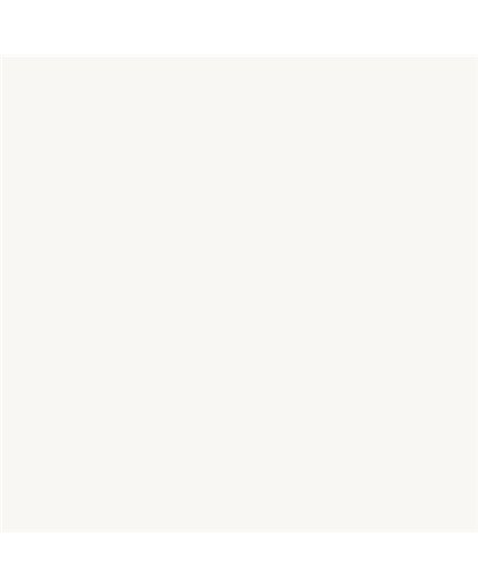 PLASTICO JUNO J-25 MATE ALTA CAIDAD (OFERTA) COLOR S 0300-N