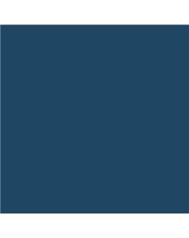 ESMALTE AL AGUA AQUALAC BRILLANTE (OFERTA) COLOR RAL 5001