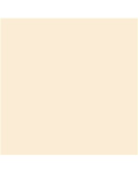 ESMALTE AL AGUA AQUALAC BRILLANTE (OFERTA) COLOR S 0505-Y30R