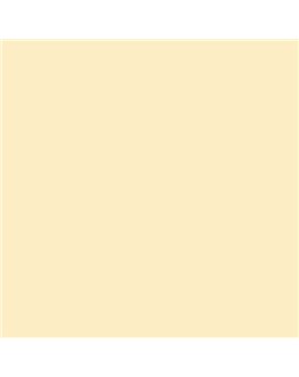 ESMALTE AL AGUA AQUALAC BRILLANTE (OFERTA) COLOR S 0510-Y10R