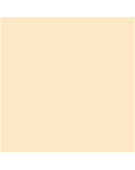 ESMALTE AL AGUA AQUALAC BRILLANTE (OFERTA) COLOR S 0510-Y20R