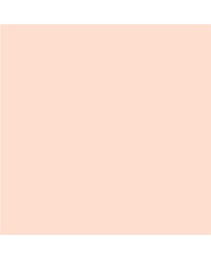 ESMALTE AL AGUA AQUALAC BRILLANTE (OFERTA) COLOR S 0510-Y70R