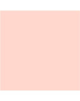 ESMALTE AL AGUA AQUALAC BRILLANTE (OFERTA) COLOR S 0515-Y80R