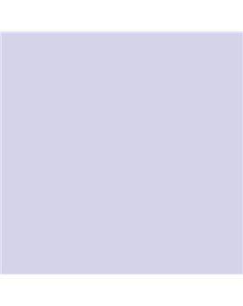 ESMALTE AL AGUA AQUALAC BRILLANTE (OFERTA) COLOR S 0520-R60B