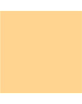 ESMALTE AL AGUA AQUALAC BRILLANTE (OFERTA) COLOR S 0530-Y20R