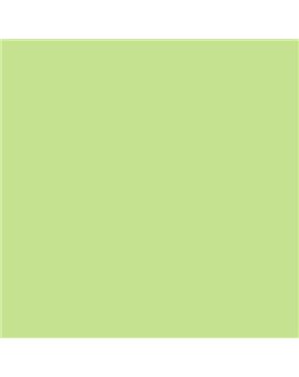 ESMALTE AL AGUA AQUALAC BRILLANTE (OFERTA) COLOR S 0540-G40Y
