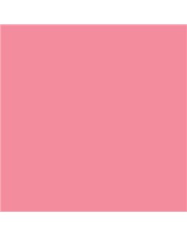 ESMALTE AL AGUA AQUALAC BRILLANTE (OFERTA) COLOR S 0550-R10B