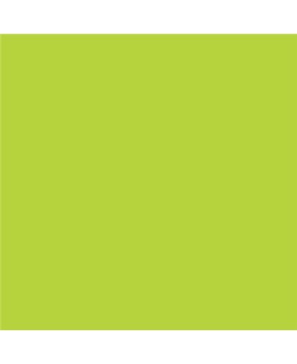 ESMALTE AL AGUA AQUALAC BRILLANTE (OFERTA) COLOR S 0565-G50Y