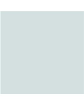 ESMALTE AL AGUA AQUALAC BRILLANTE (OFERTA) COLOR S 1005-B50G