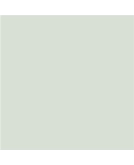 ESMALTE AL AGUA AQUALAC BRILLANTE (OFERTA) COLOR S 1005-G20Y