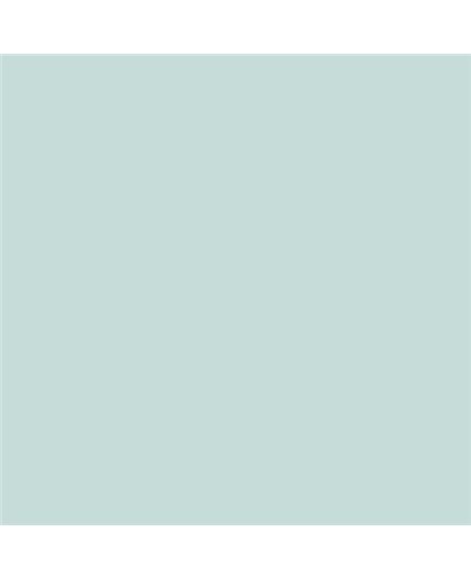 ESMALTE AL AGUA AQUALAC BRILLANTE (OFERTA) COLOR S 1010-B70G