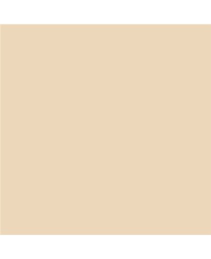 ESMALTE AL AGUA AQUALAC BRILLANTE (OFERTA) COLOR S 1010-Y30R