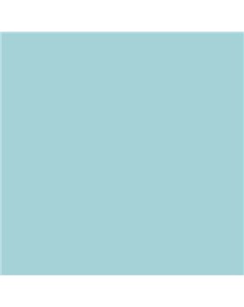 ESMALTE AL AGUA AQUALAC BRILLANTE (OFERTA) COLOR S 1020-B30G
