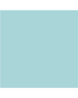 ESMALTE AL AGUA AQUALAC BRILLANTE (OFERTA) COLOR S 1020-B40G