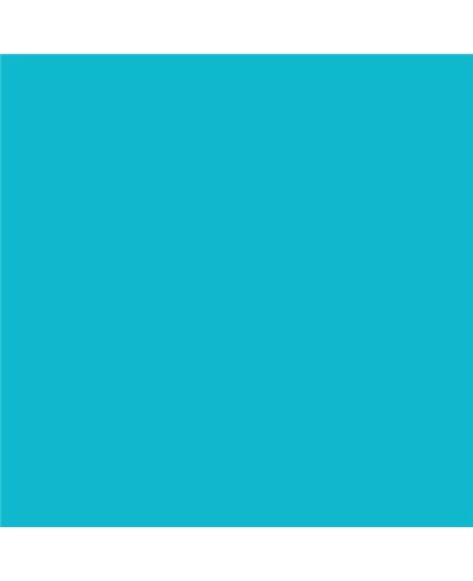 ESMALTE AL AGUA AQUALAC BRILLANTE (OFERTA) COLOR S 1050-B20G