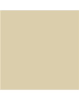 ESMALTE AL AGUA AQUALAC BRILLANTE (OFERTA) COLOR S 1510-Y10R