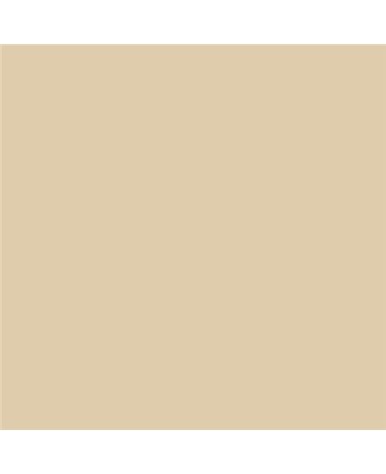 ESMALTE AL AGUA AQUALAC BRILLANTE (OFERTA) COLOR S 1510-Y20R