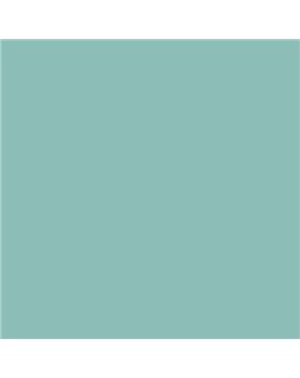ESMALTE AL AGUA AQUALAC BRILLANTE (OFERTA) COLOR S 2020-B70G