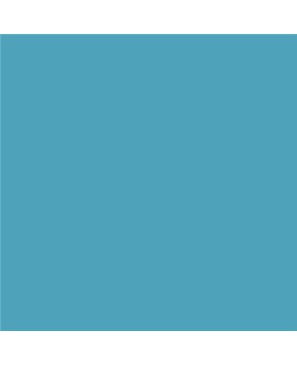 ESMALTE AL AGUA AQUALAC BRILLANTE (OFERTA) COLOR S 2040-B10G