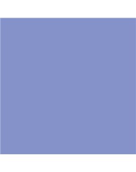 ESMALTE AL AGUA AQUALAC BRILLANTE (OFERTA) COLOR S 2040-R70B