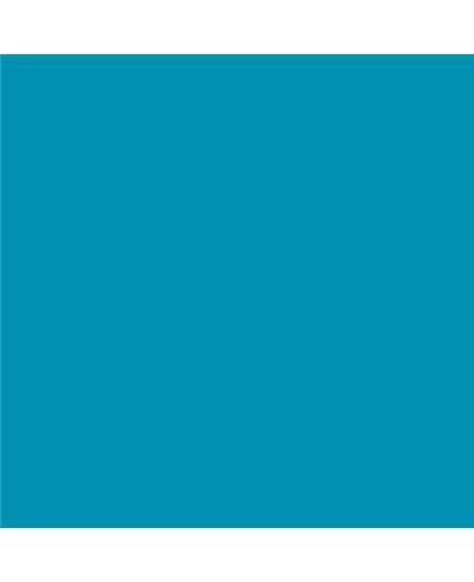 ESMALTE AL AGUA AQUALAC BRILLANTE (OFERTA) COLOR S 2055-B10G