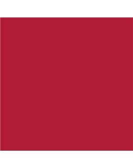 ESMALTE AL AGUA AQUALAC BRILLANTE (OFERTA) COLOR S 2070-R
