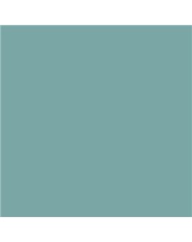 ESMALTE AL AGUA AQUALAC BRILLANTE (OFERTA) COLOR S 3020-B50G