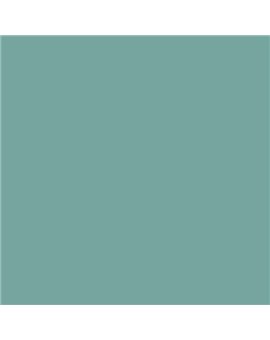 ESMALTE AL AGUA AQUALAC BRILLANTE (OFERTA) COLOR S 3020-B70G