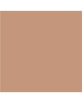 ESMALTE AL AGUA AQUALAC BRILLANTE (OFERTA) COLOR S 3020-Y50R