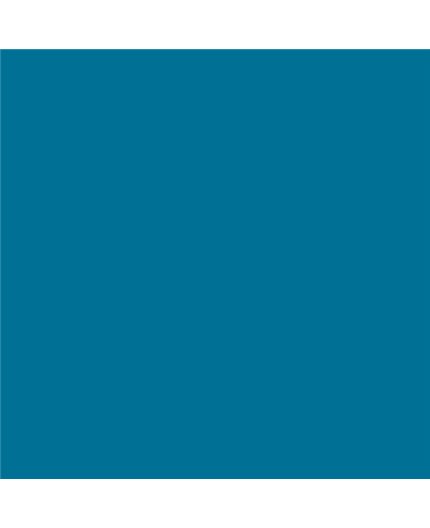 ESMALTE AL AGUA AQUALAC BRILLANTE (OFERTA) COLOR S 3060-B10G
