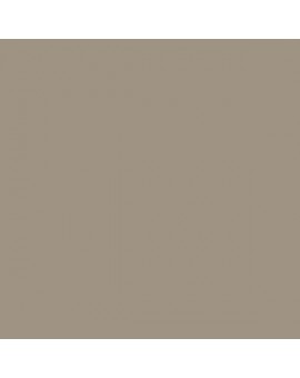 ESMALTE AL AGUA AQUALAC BRILLANTE (OFERTA) COLOR S 4005-Y20R