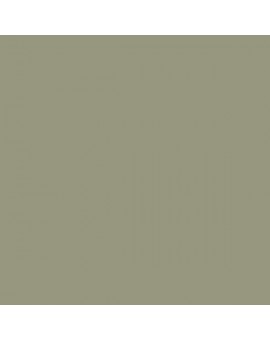 ESMALTE AL AGUA AQUALAC BRILLANTE (OFERTA) COLOR S 4010-G70Y