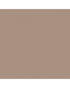 ESMALTE AL AGUA AQUALAC BRILLANTE (OFERTA) COLOR S 4010-Y50R