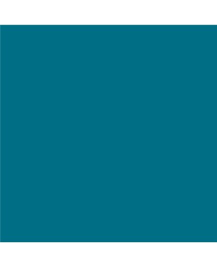 ESMALTE AL AGUA AQUALAC BRILLANTE (OFERTA) COLOR S 4040-B10G
