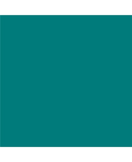 ESMALTE AL AGUA AQUALAC BRILLANTE (OFERTA) COLOR S 4040-B50G