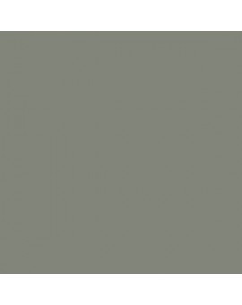 ESMALTE AL AGUA AQUALAC BRILLANTE (OFERTA) COLOR S 5005-G50Y