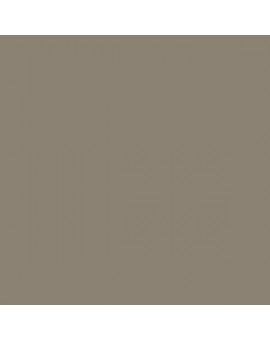 ESMALTE AL AGUA AQUALAC BRILLANTE (OFERTA) COLOR S 5005-Y20R