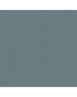 ESMALTE AL AGUA AQUALAC BRILLANTE (OFERTA) COLOR S 5010-B10G