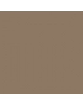 ESMALTE AL AGUA AQUALAC BRILLANTE (OFERTA) COLOR S 5010-Y30R