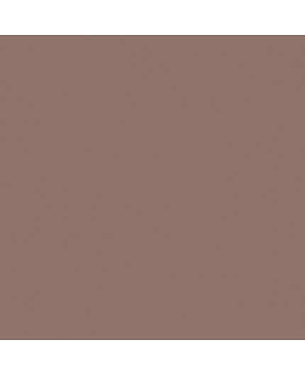 ESMALTE AL AGUA AQUALAC BRILLANTE (OFERTA) COLOR S 5010-Y70R